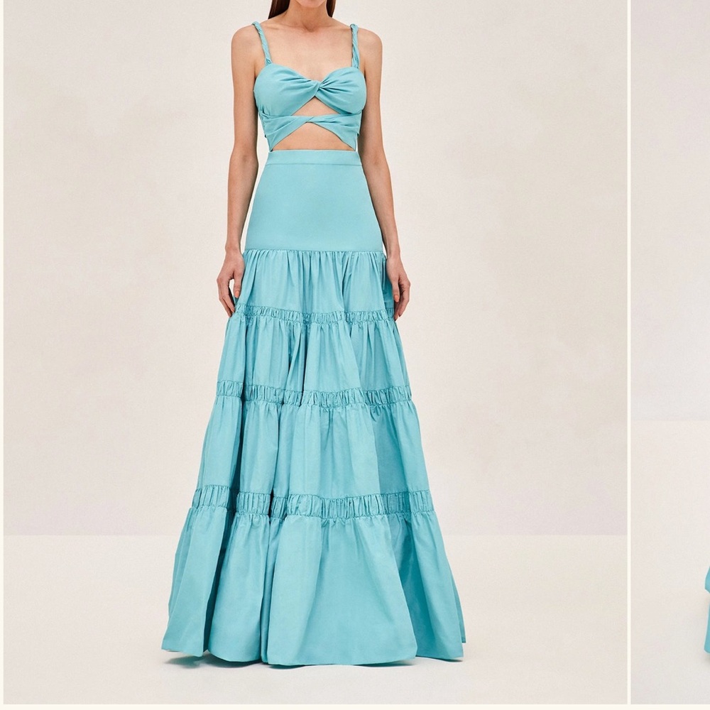 WORN ONCE ALEXIS CHANTALLE DRESS